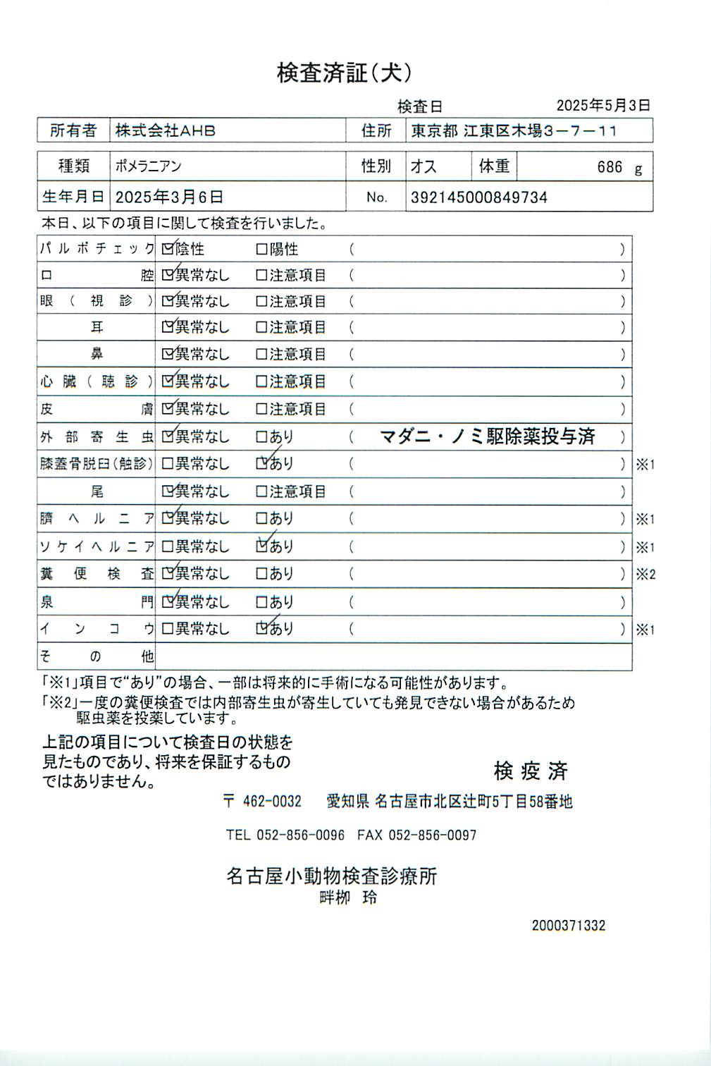 ポメラニアン