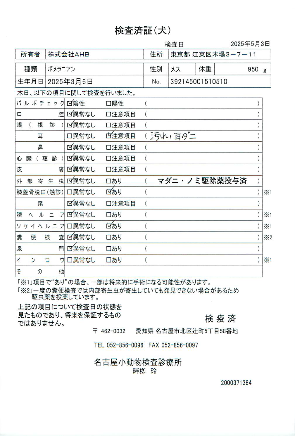 ポメラニアン