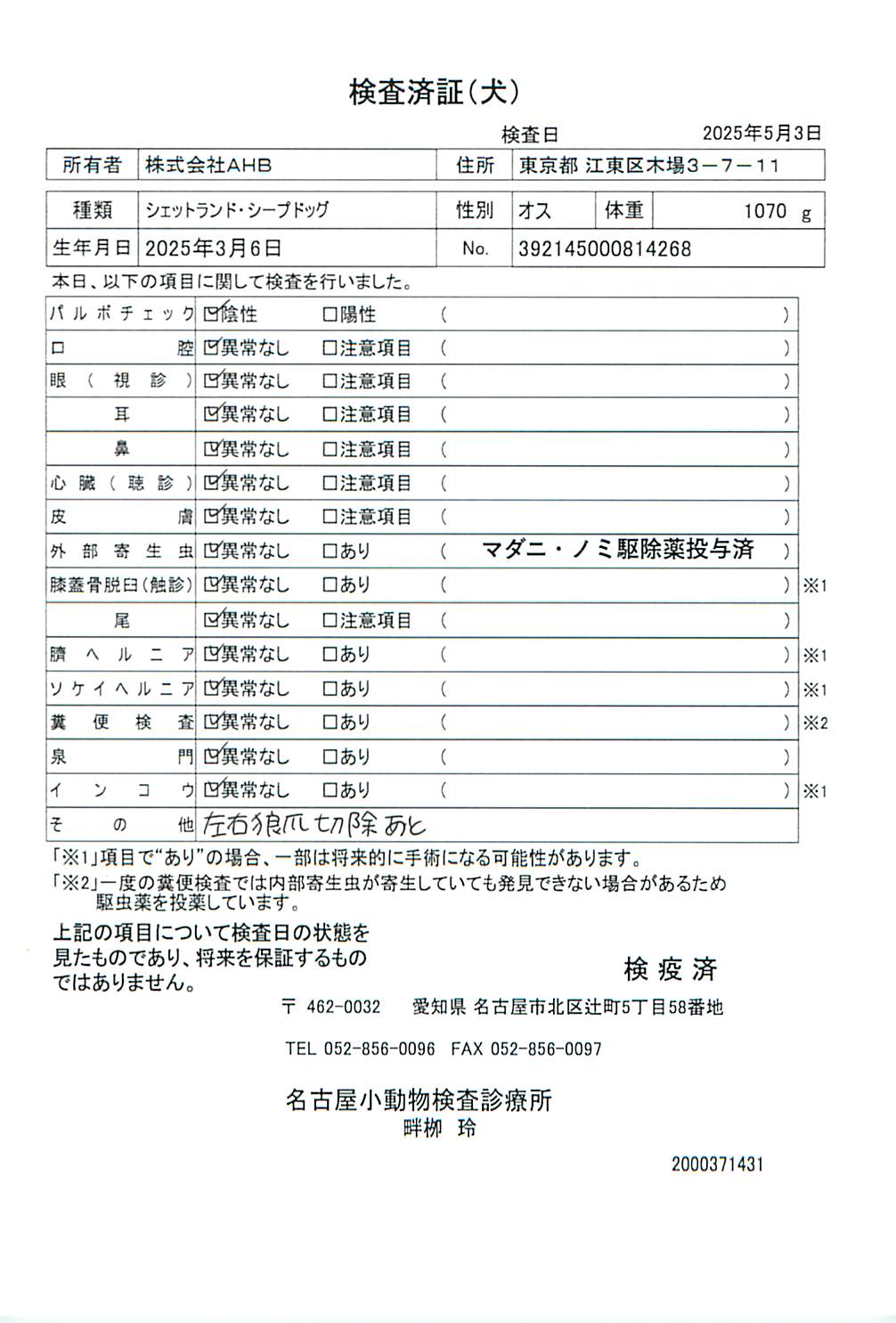 シェットランド・シープドッグ
