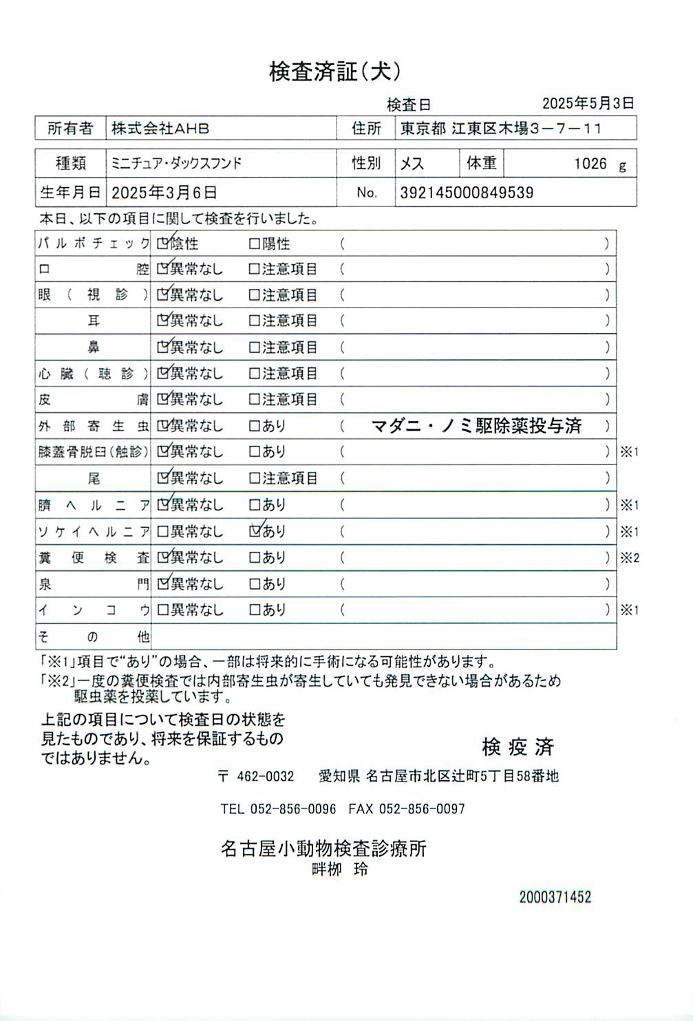 ミニチュア・ダックスフンド