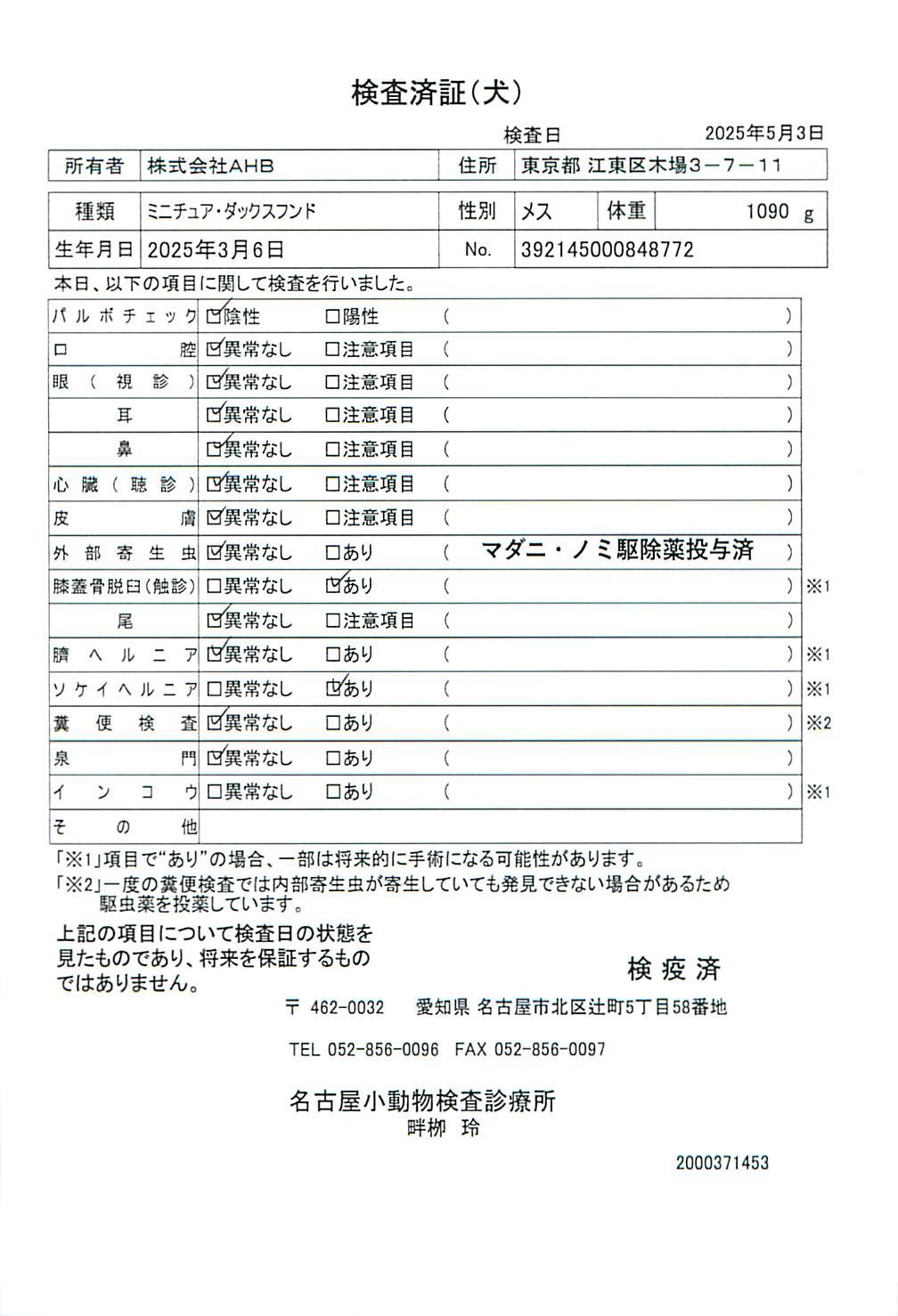 ミニチュア・ダックスフンド