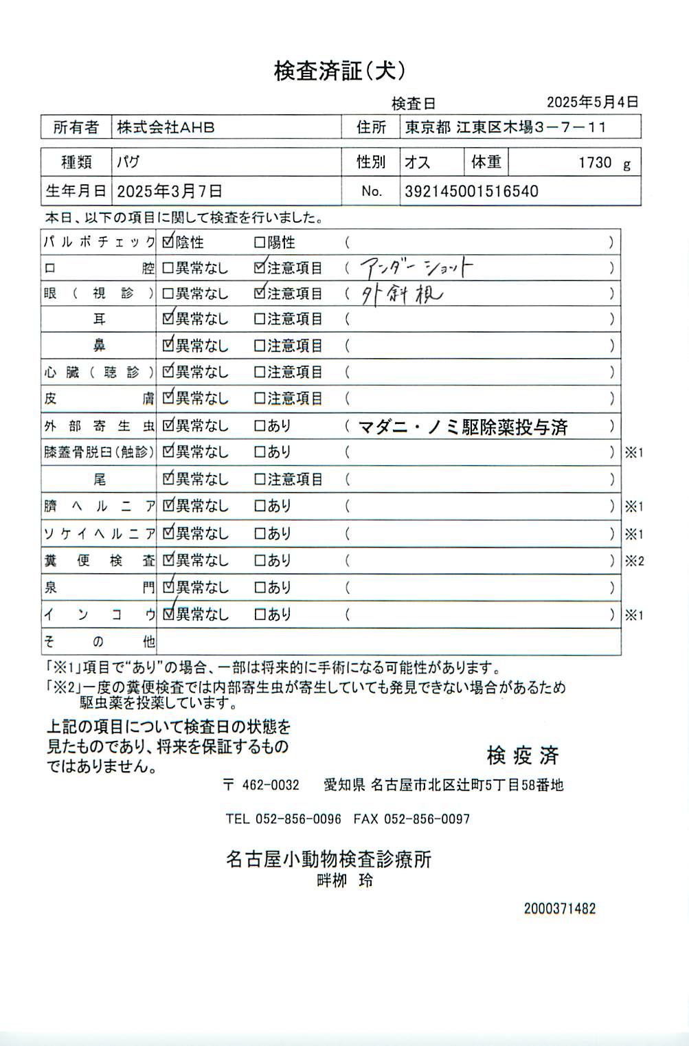 パグ