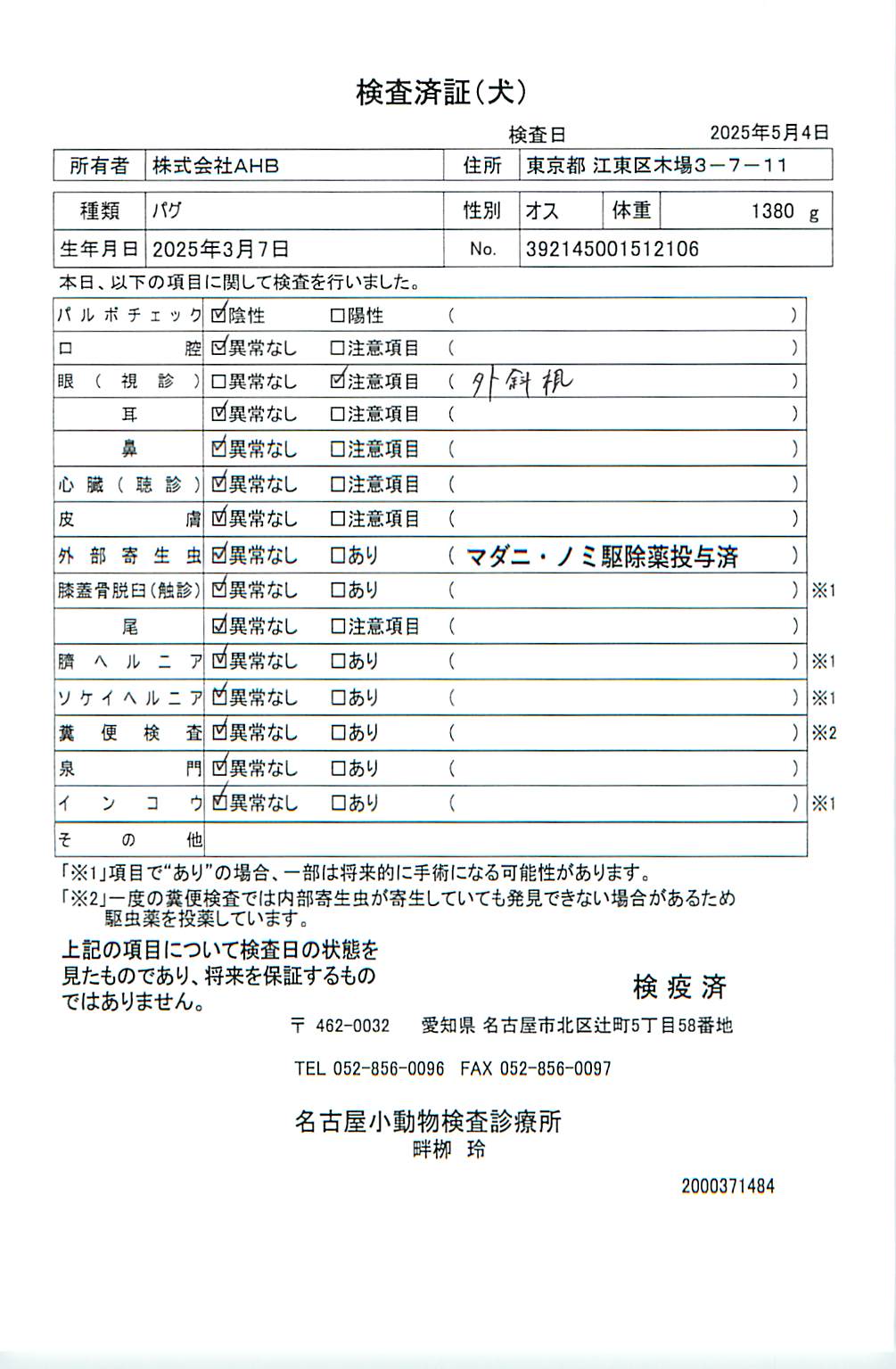 パグ