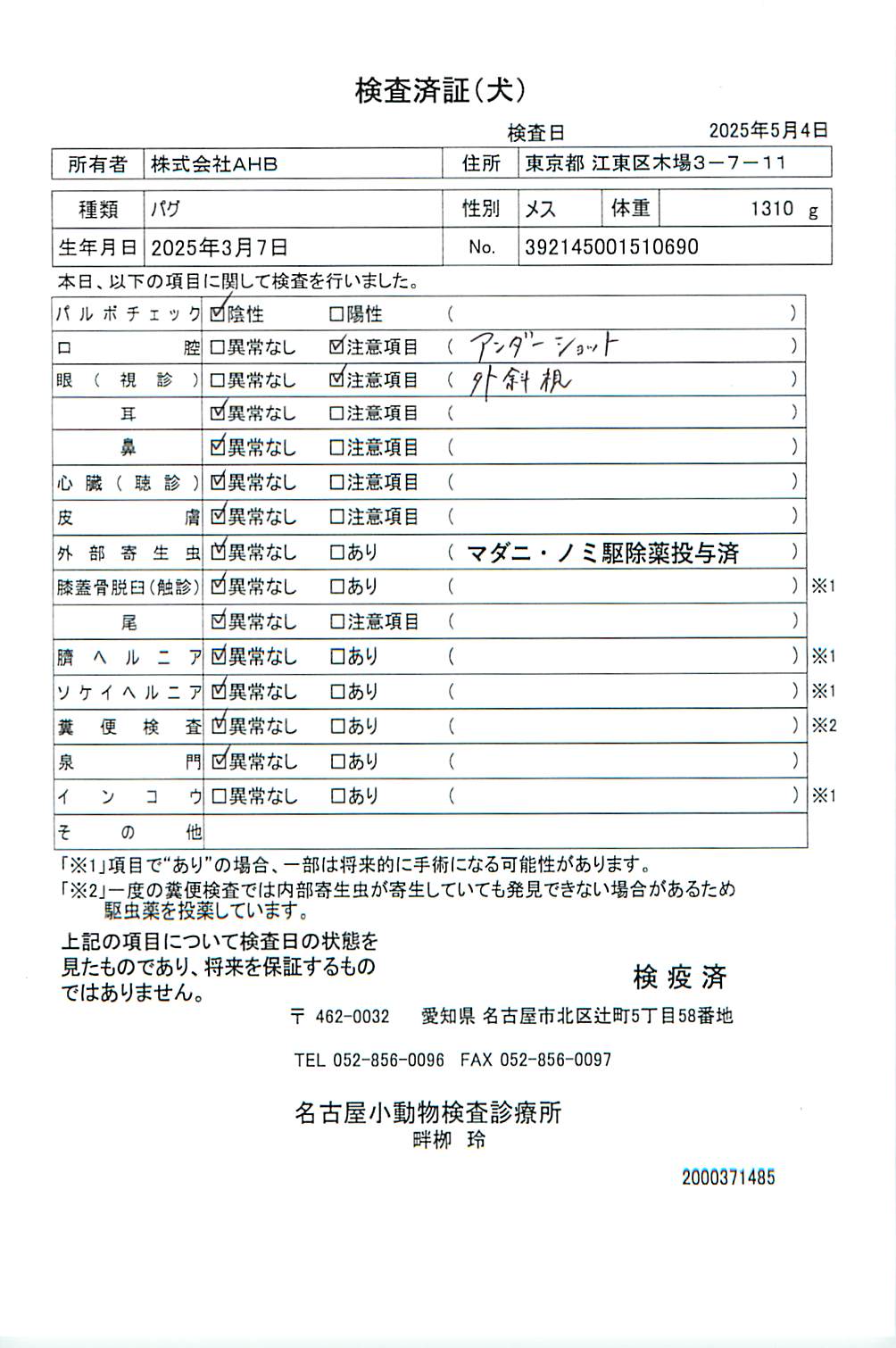 パグ