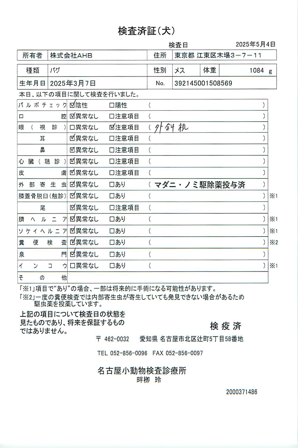 パグ