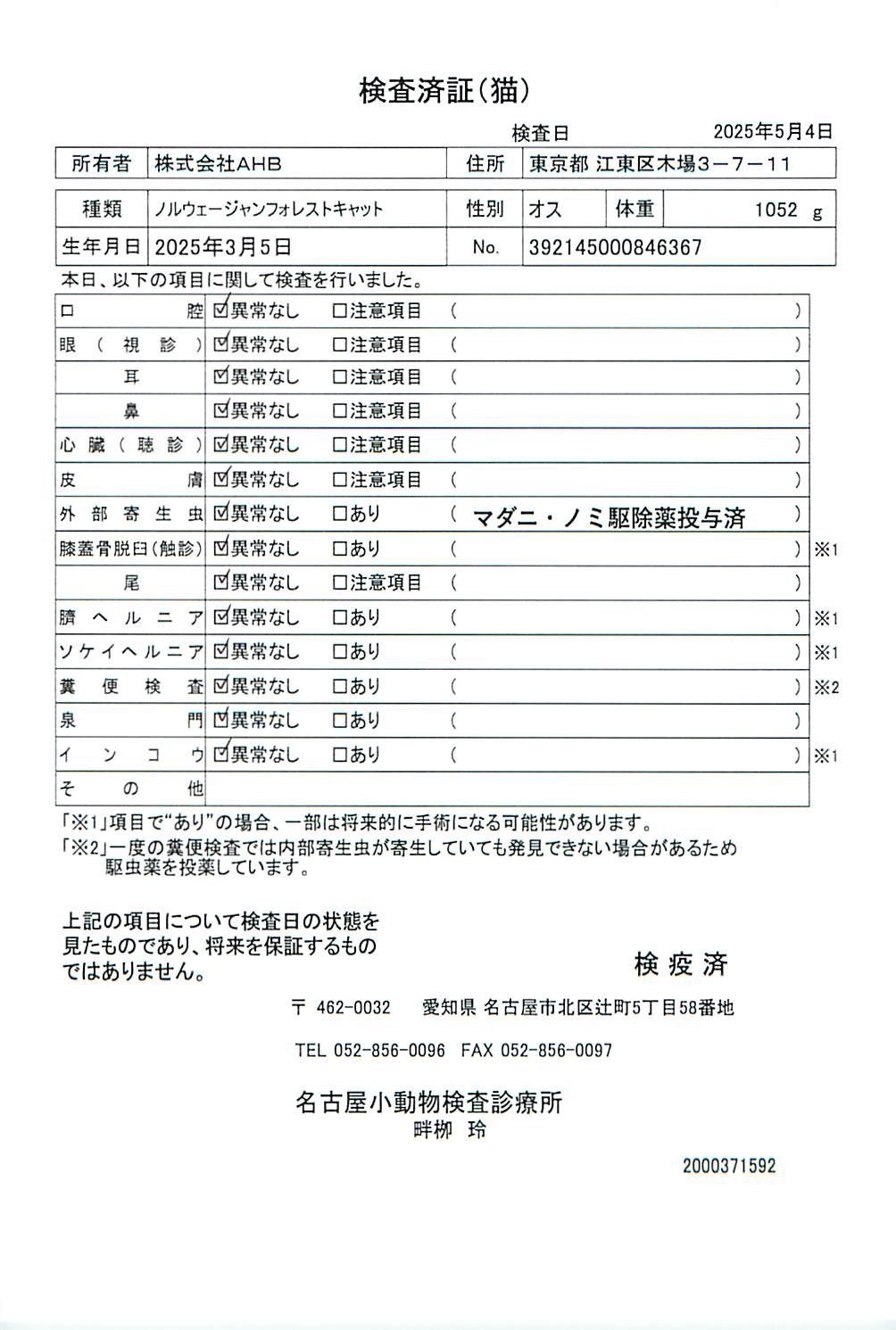 ノルウェージャンフォレストキャット