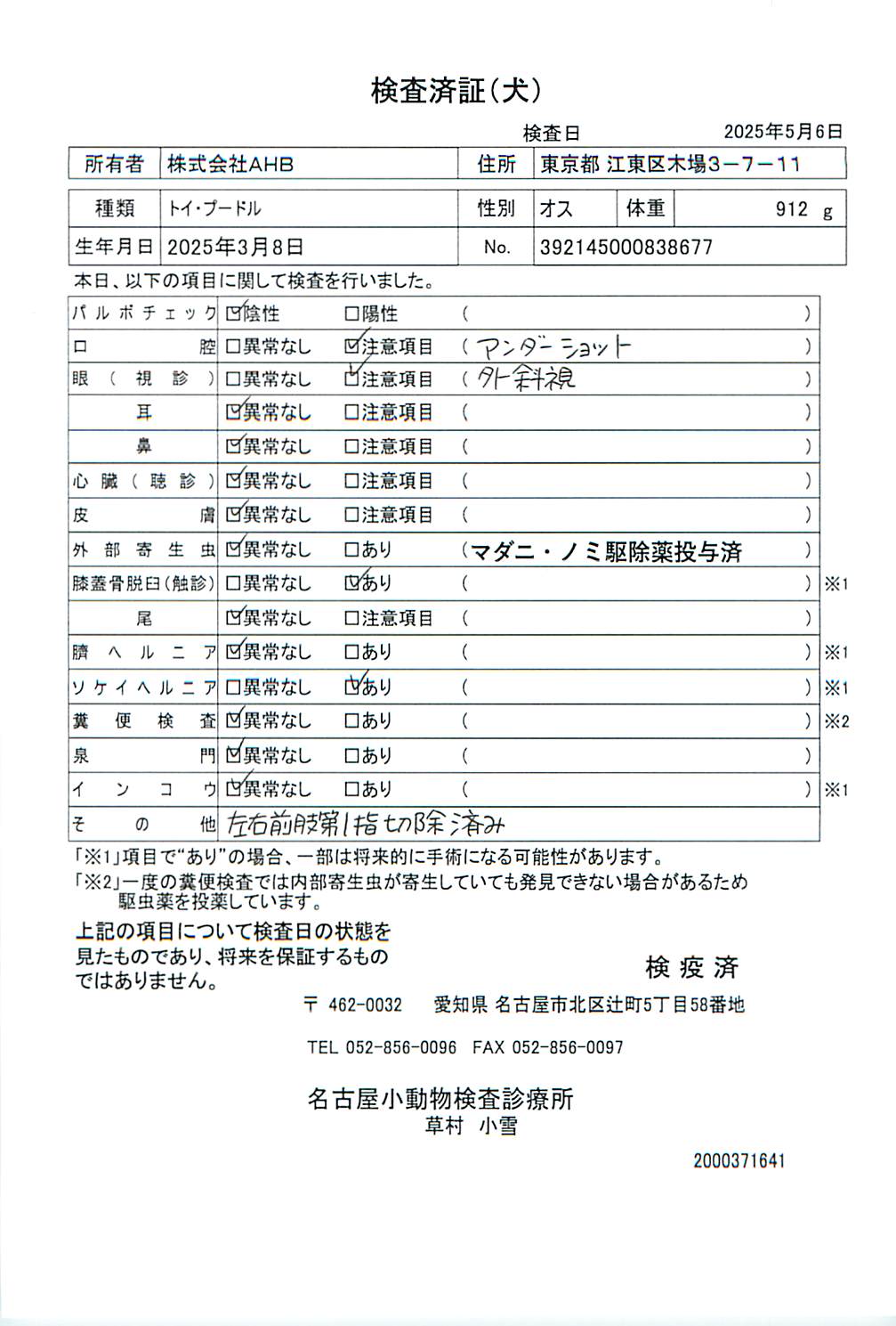 トイ・プードル