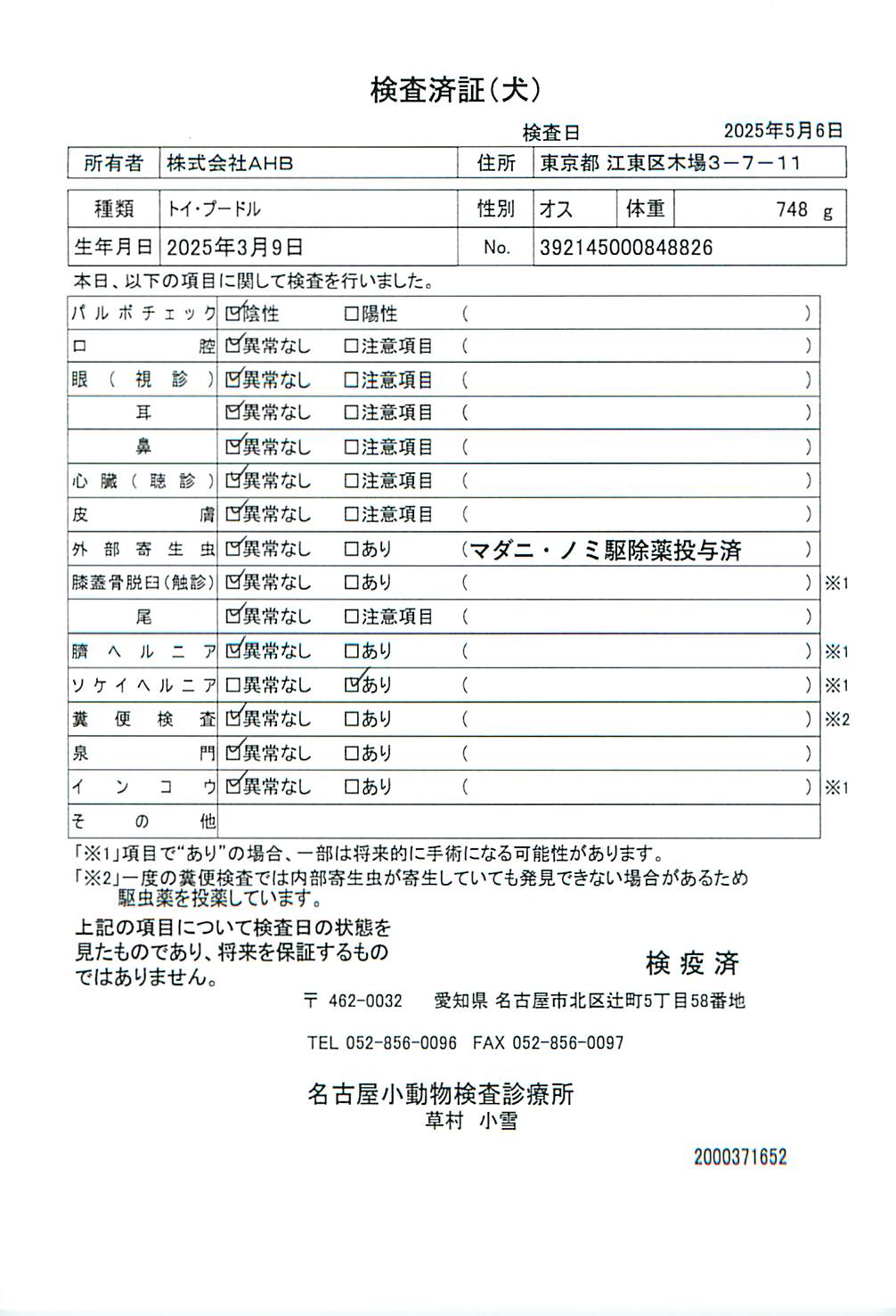 トイ・プードル