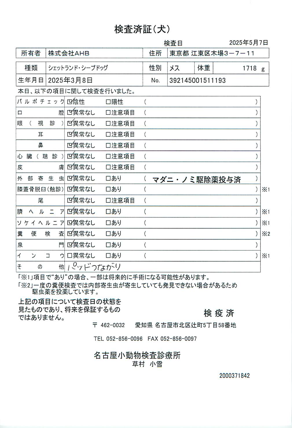 シェットランド・シープドッグ