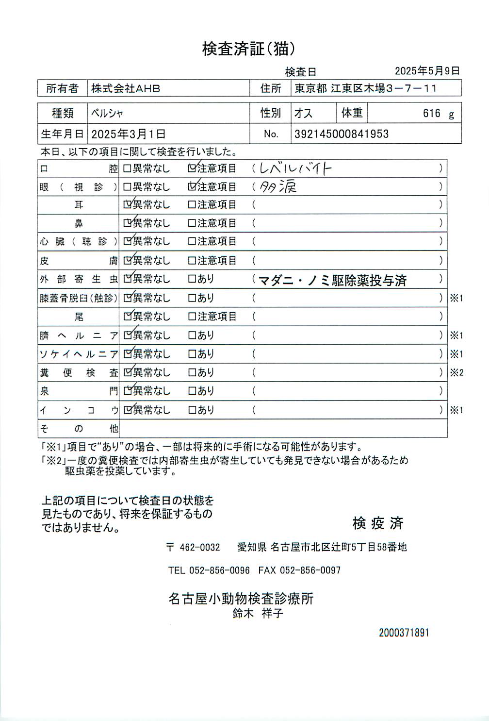 ペルシャ