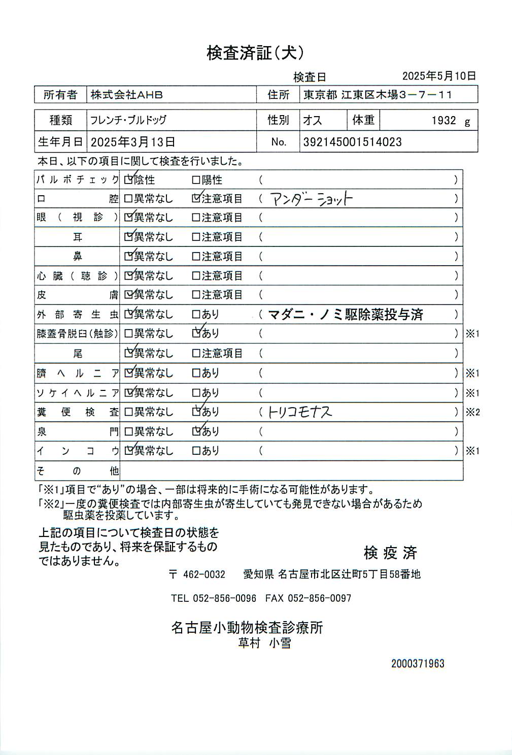 フレンチ・ブルドッグ