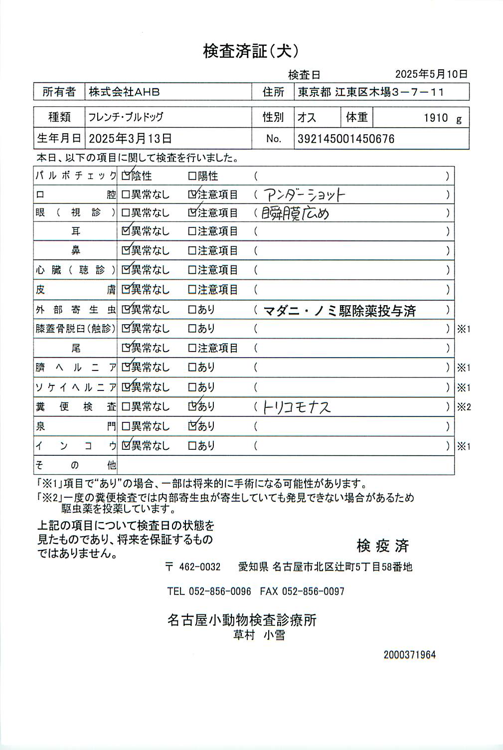 フレンチ・ブルドッグ