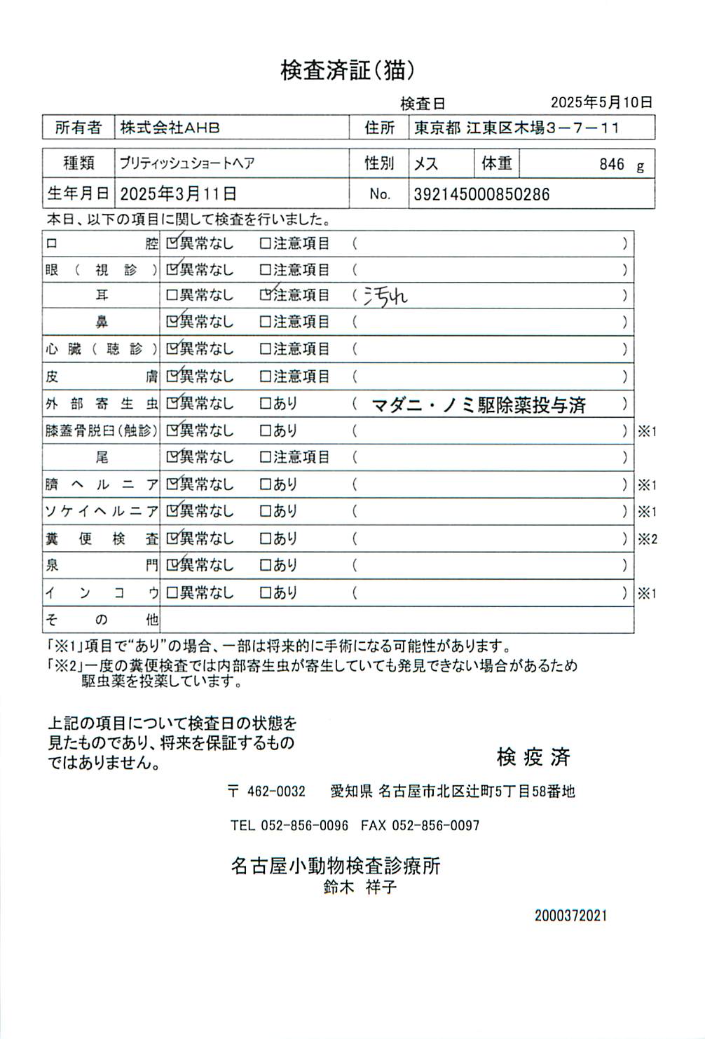 ブリティッシュショートヘア