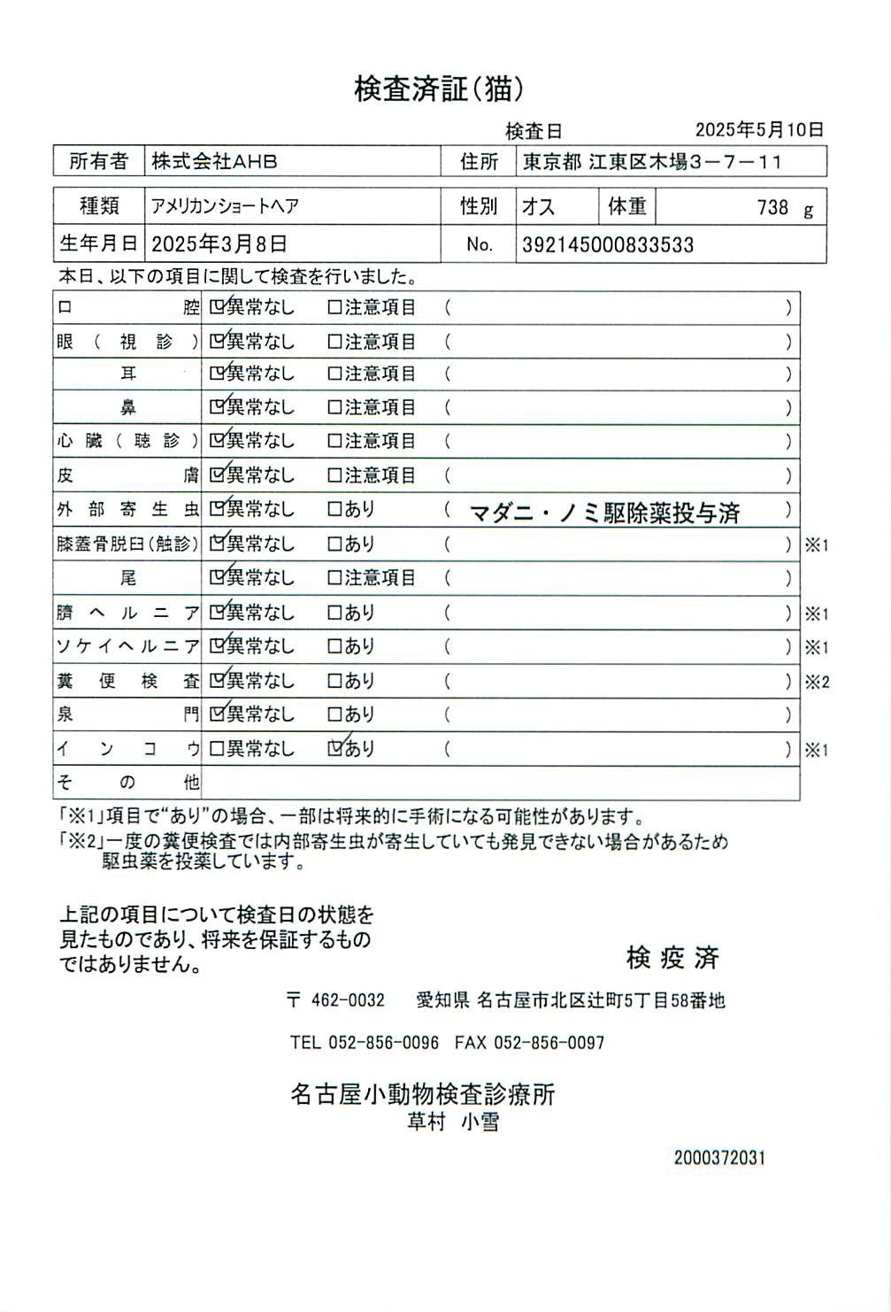 アメリカンショートヘア