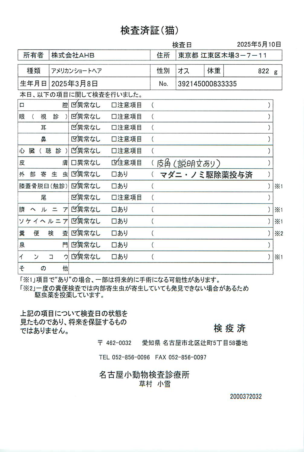 アメリカンショートヘア