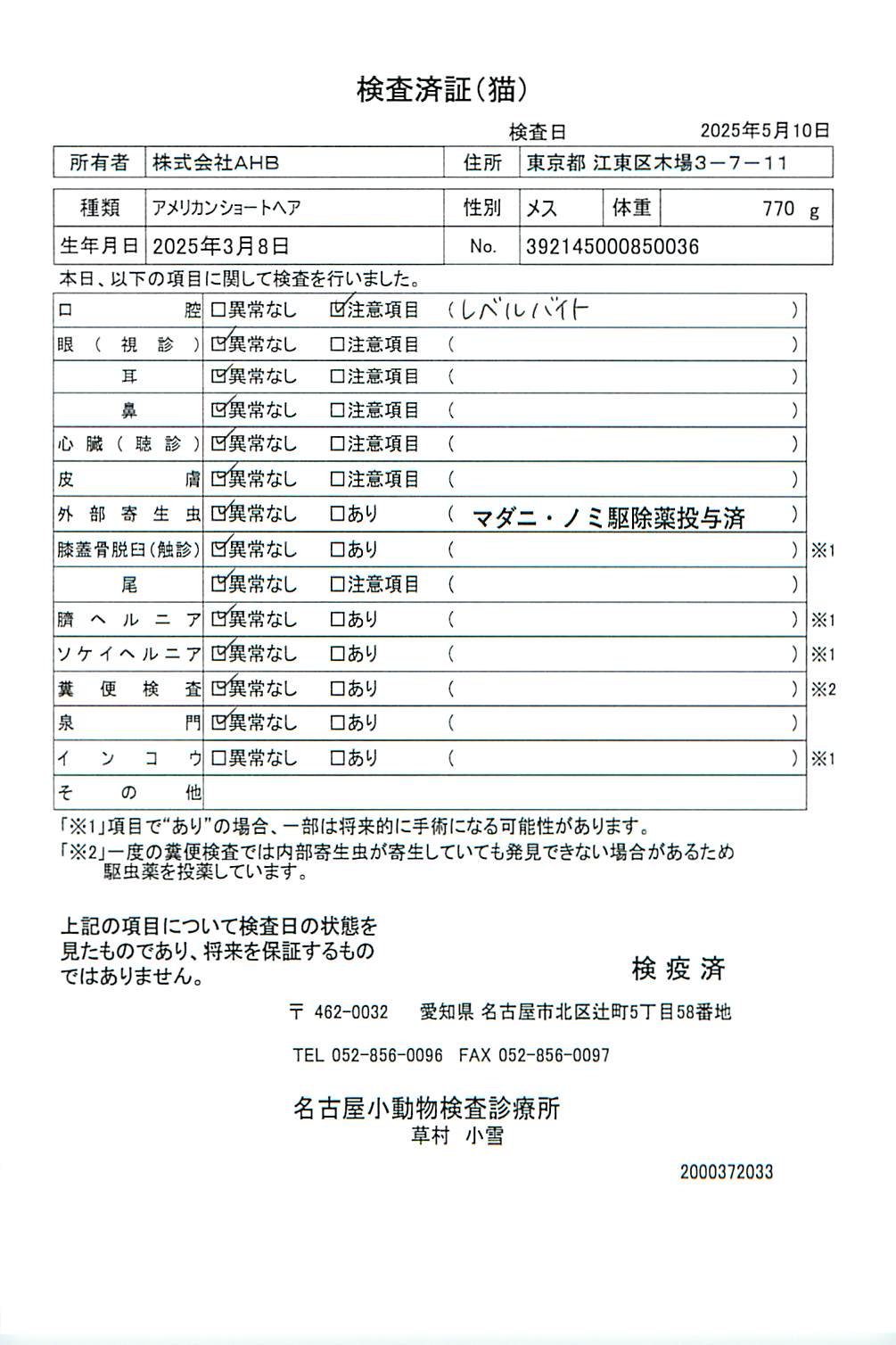 アメリカンショートヘア