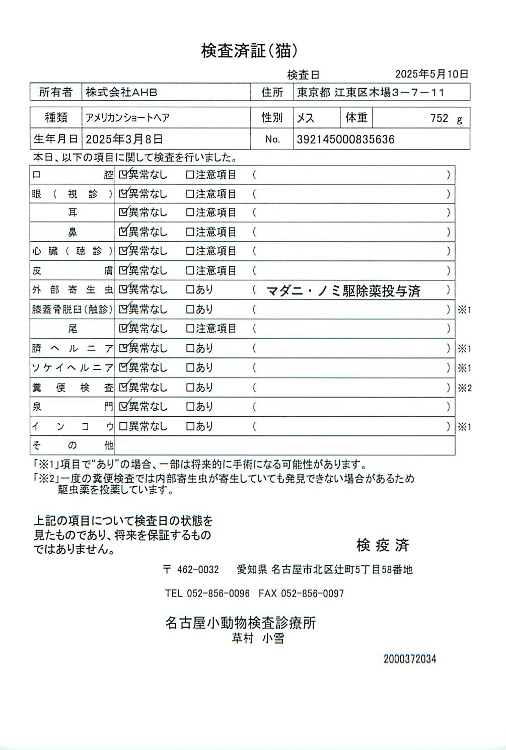 アメリカンショートヘア