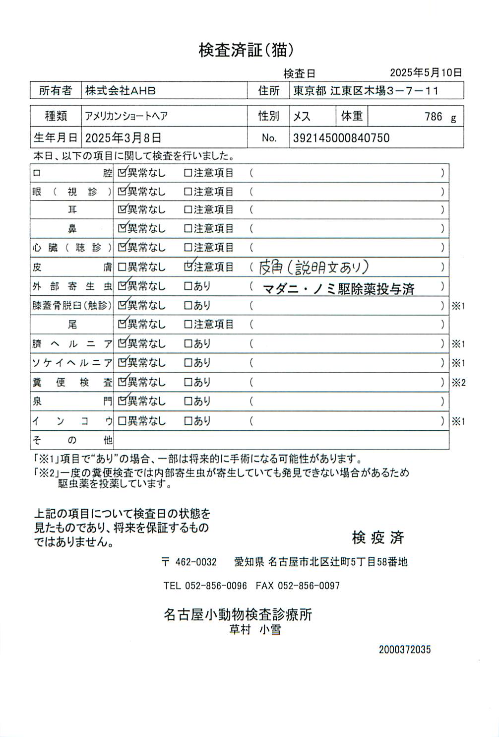 アメリカンショートヘア