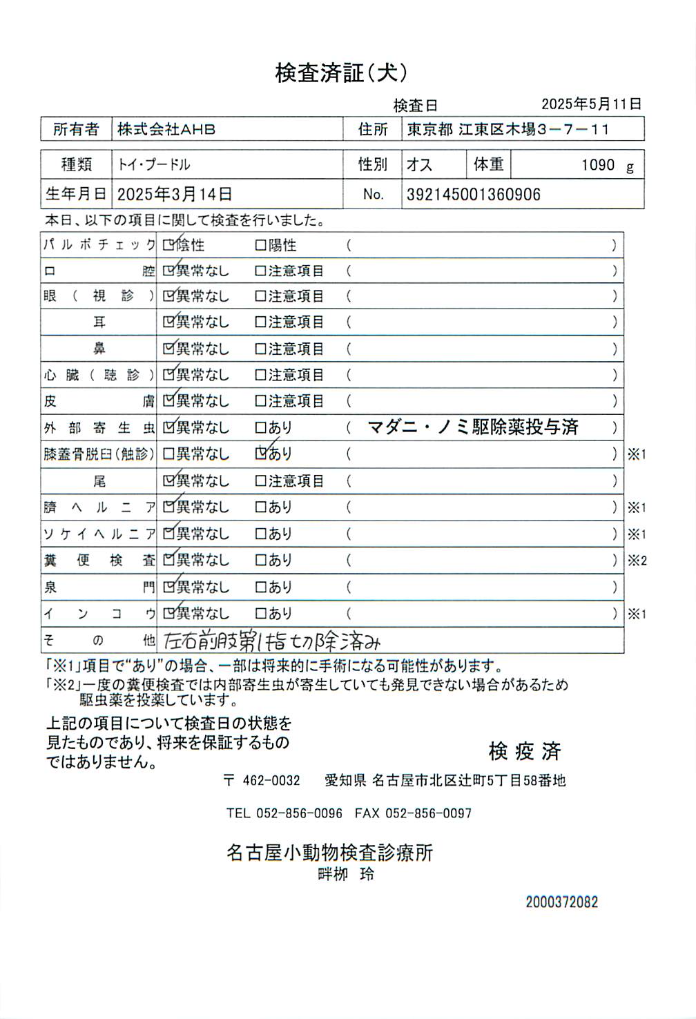 トイ・プードル