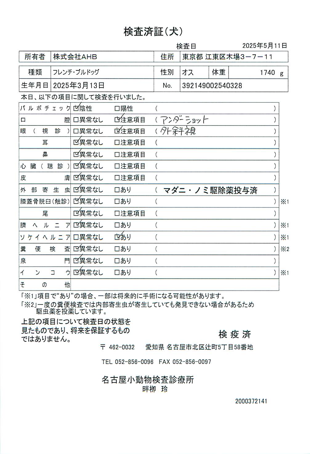 フレンチ・ブルドッグ