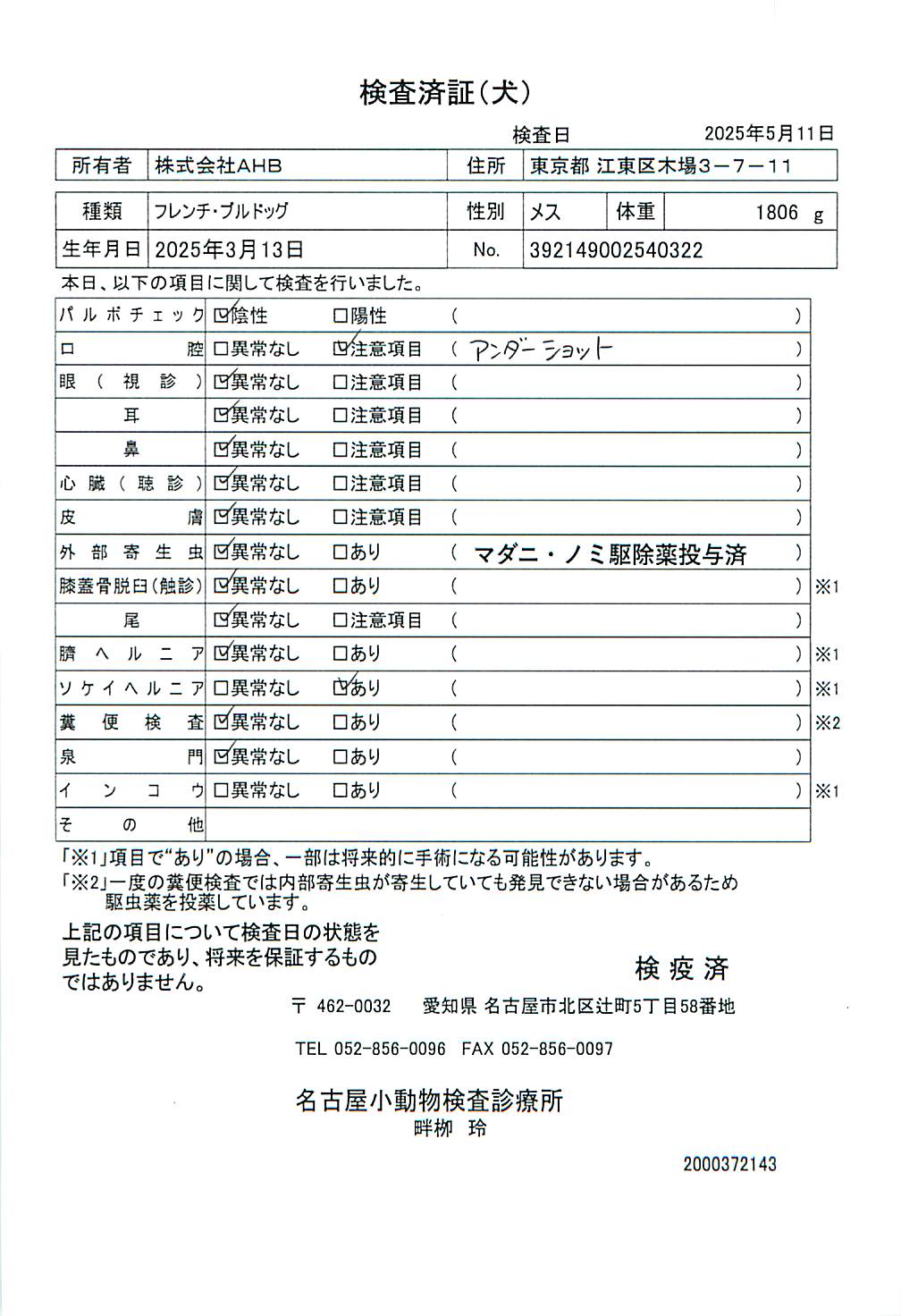 フレンチ・ブルドッグ