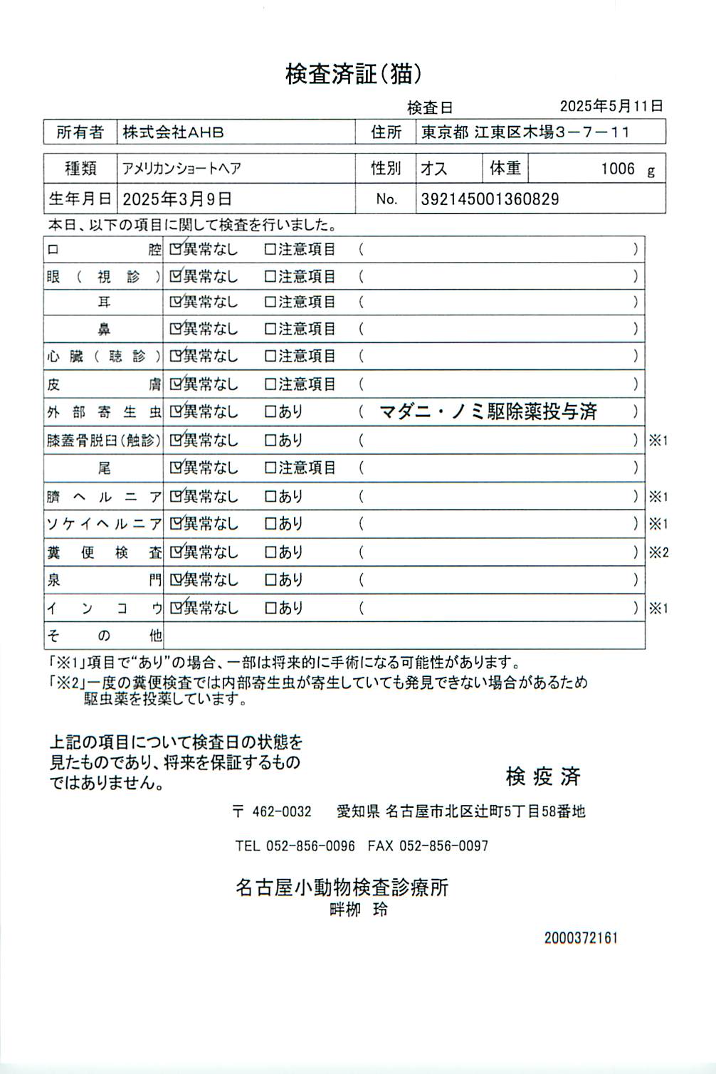 アメリカンショートヘア
