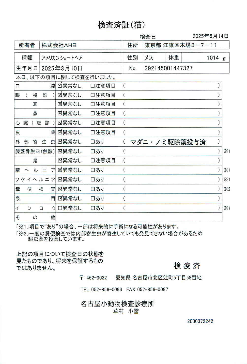 アメリカンショートヘア