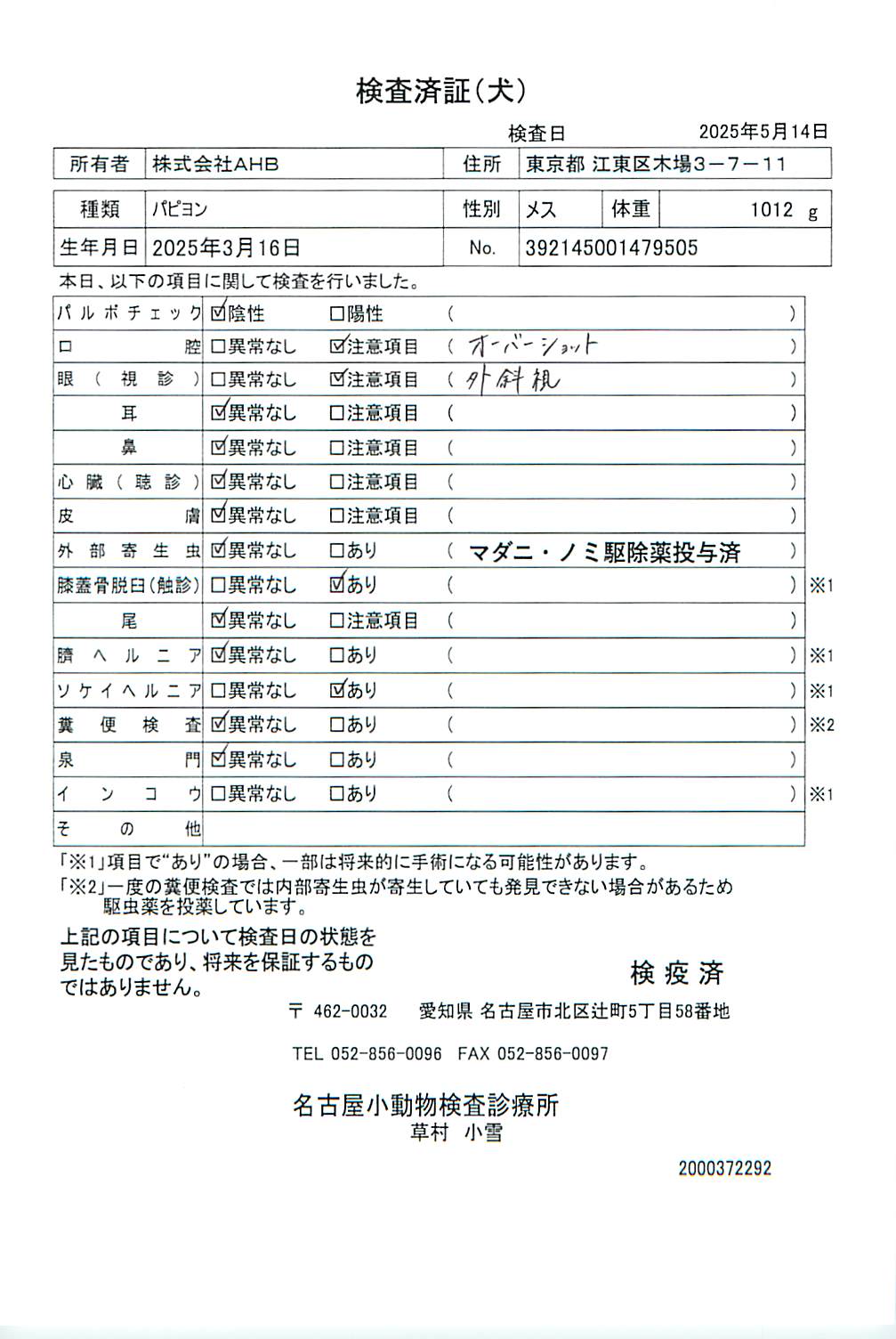 パピヨン