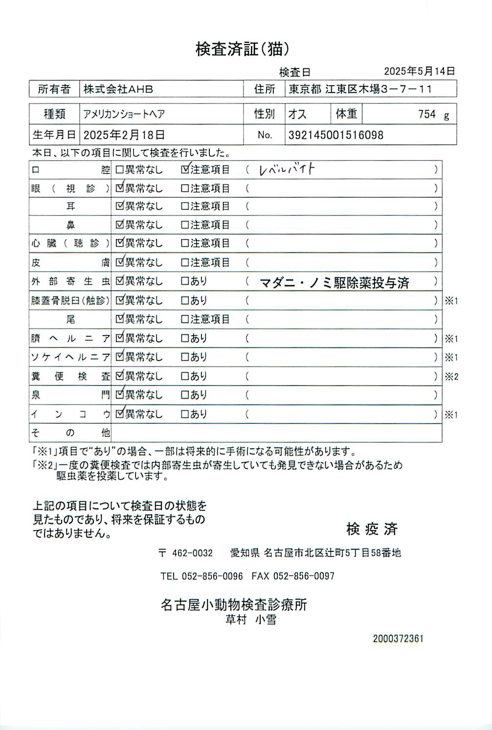 アメリカンショートヘア
