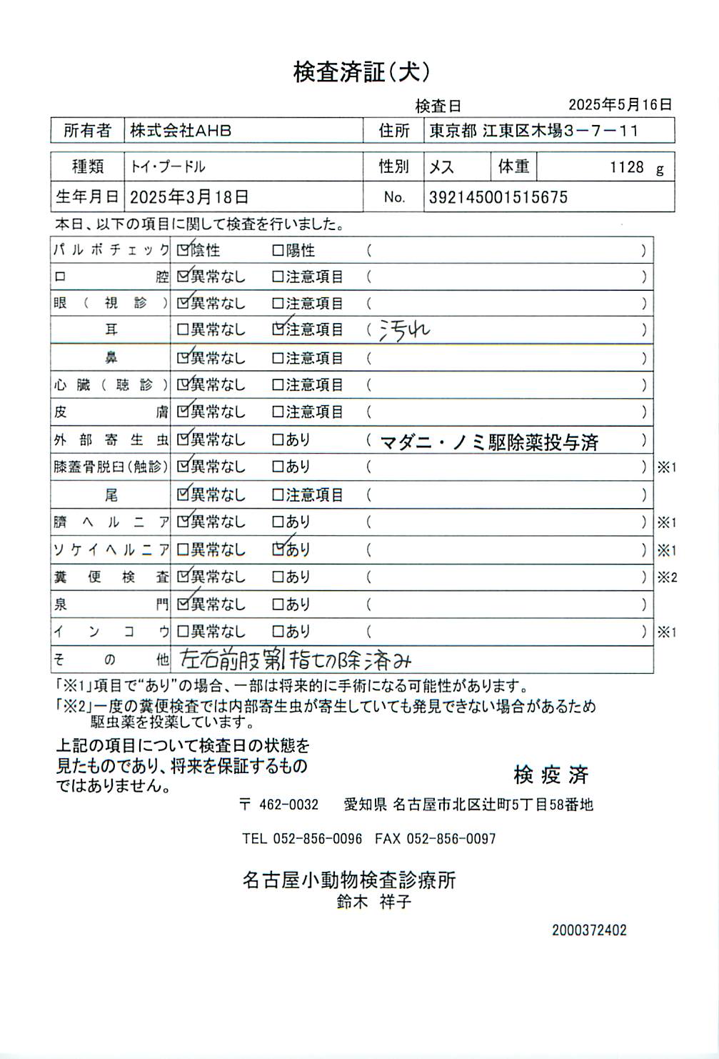 トイ・プードル