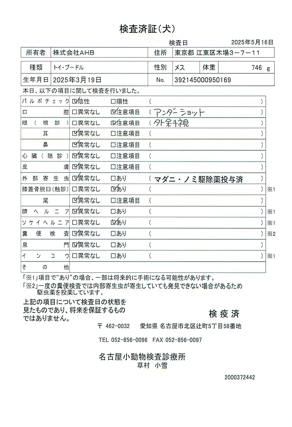 トイ・プードル