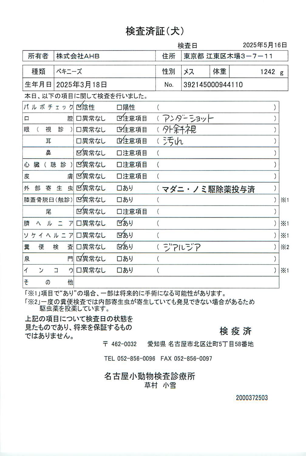 ペキニーズ