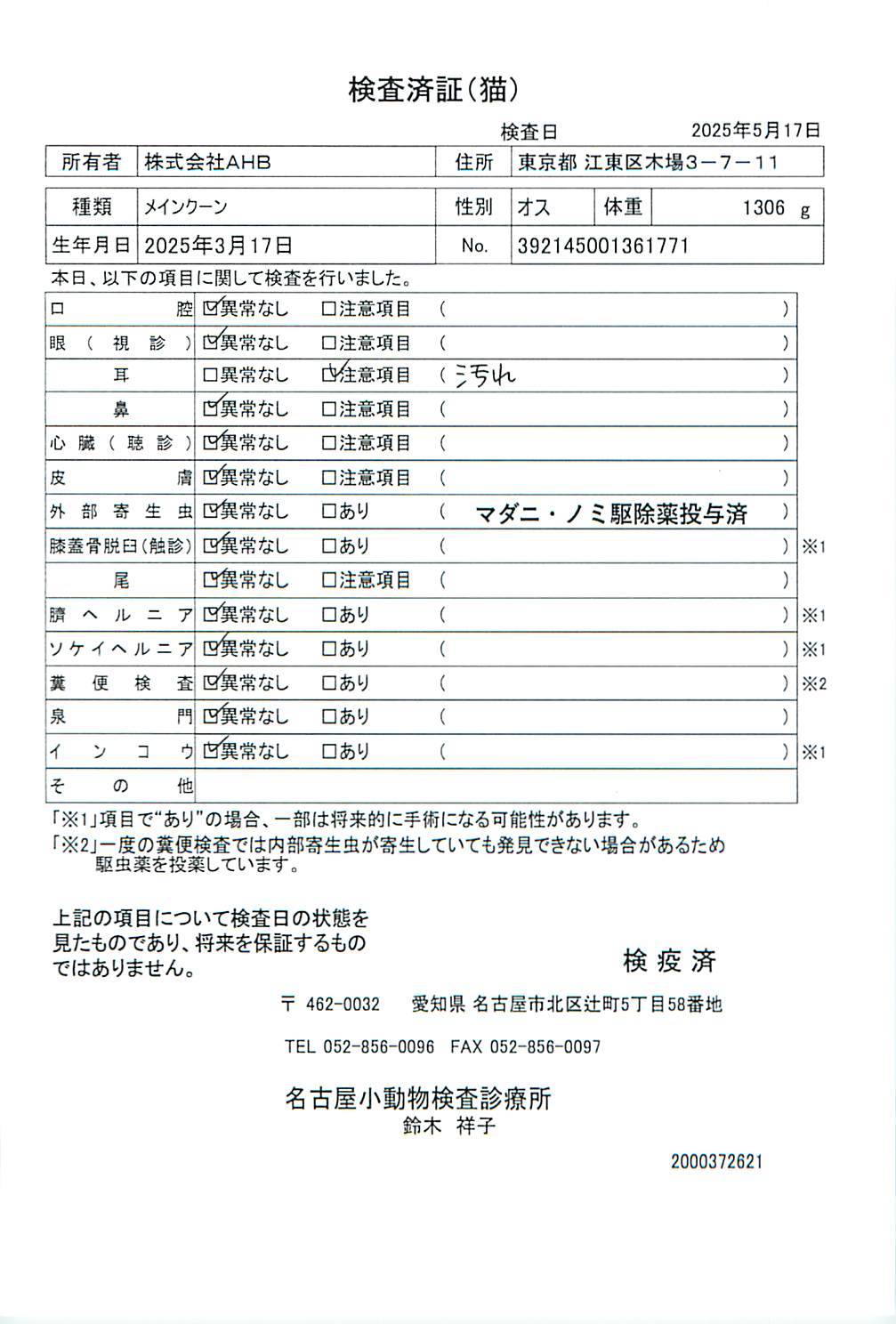 メインクーン