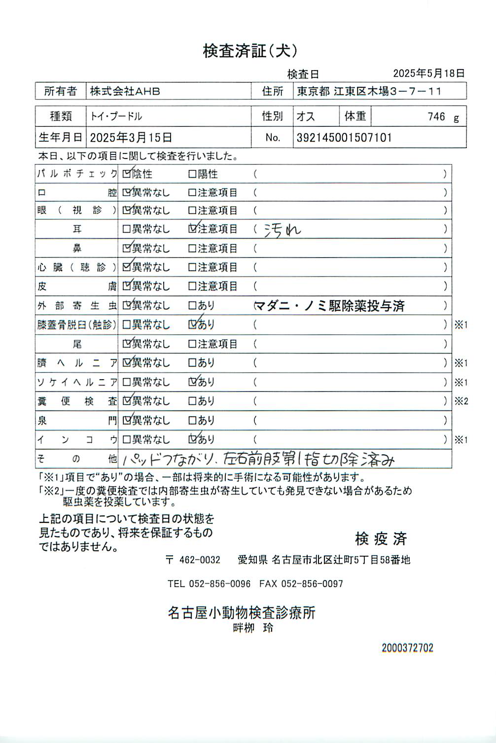 トイ・プードル