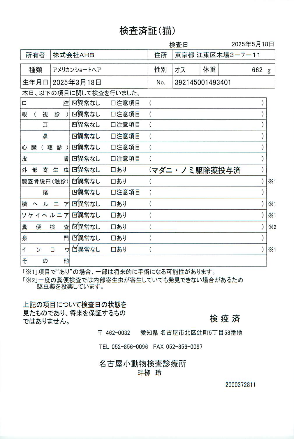 アメリカンショートヘア