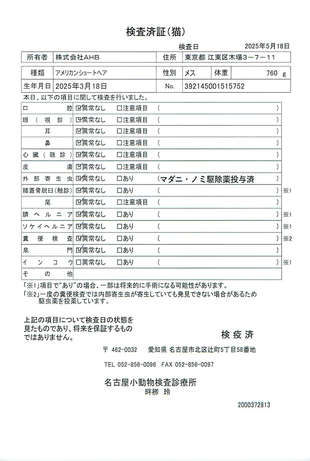 アメリカンショートヘア