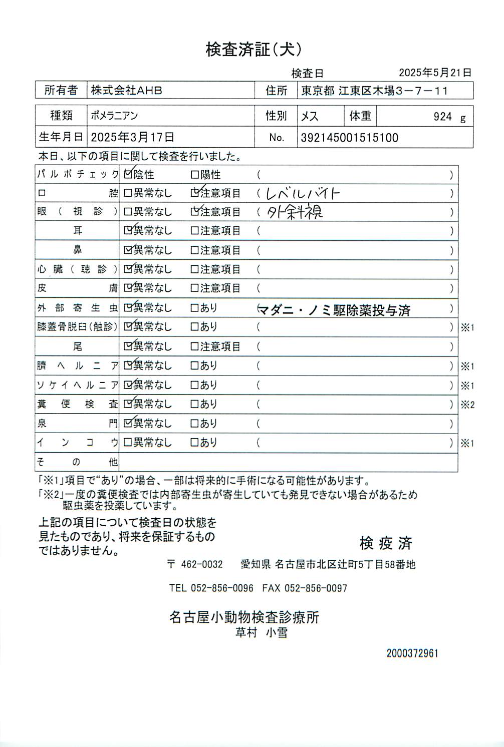 ポメラニアン