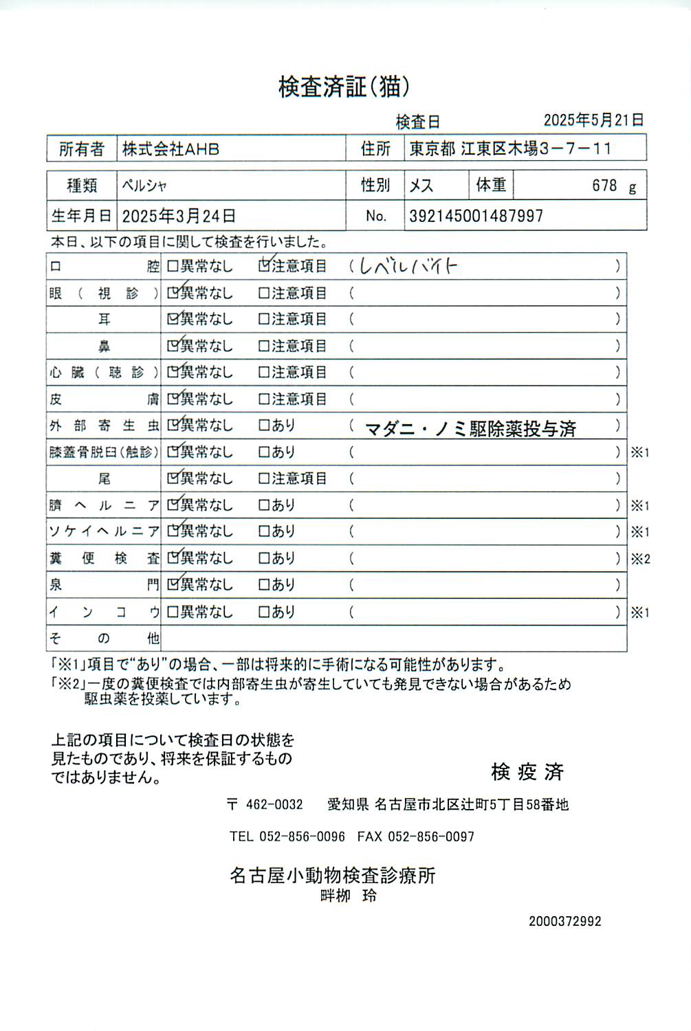 ペルシャ