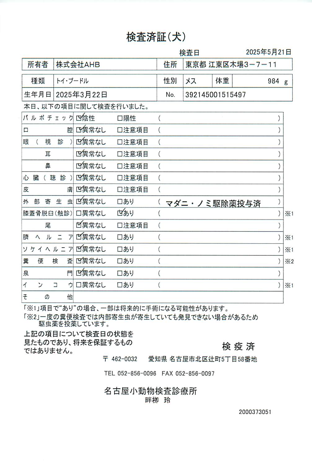 トイ・プードル
