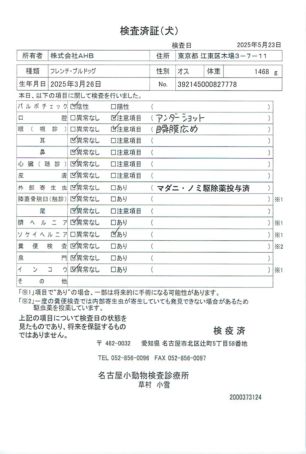 フレンチ・ブルドッグ