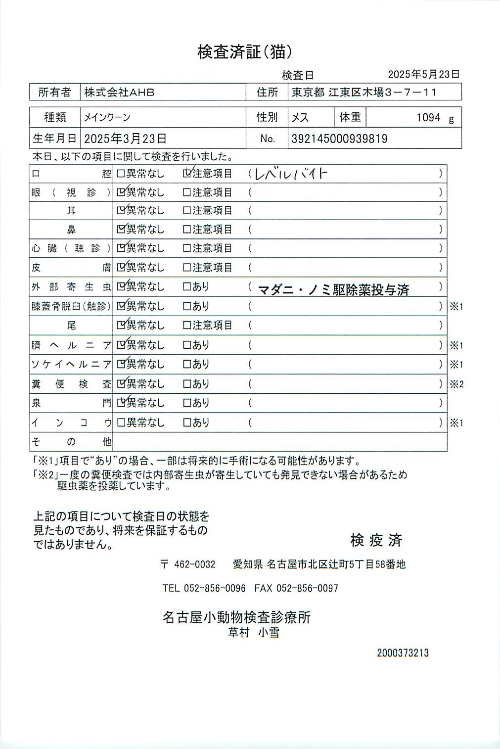 メインクーン