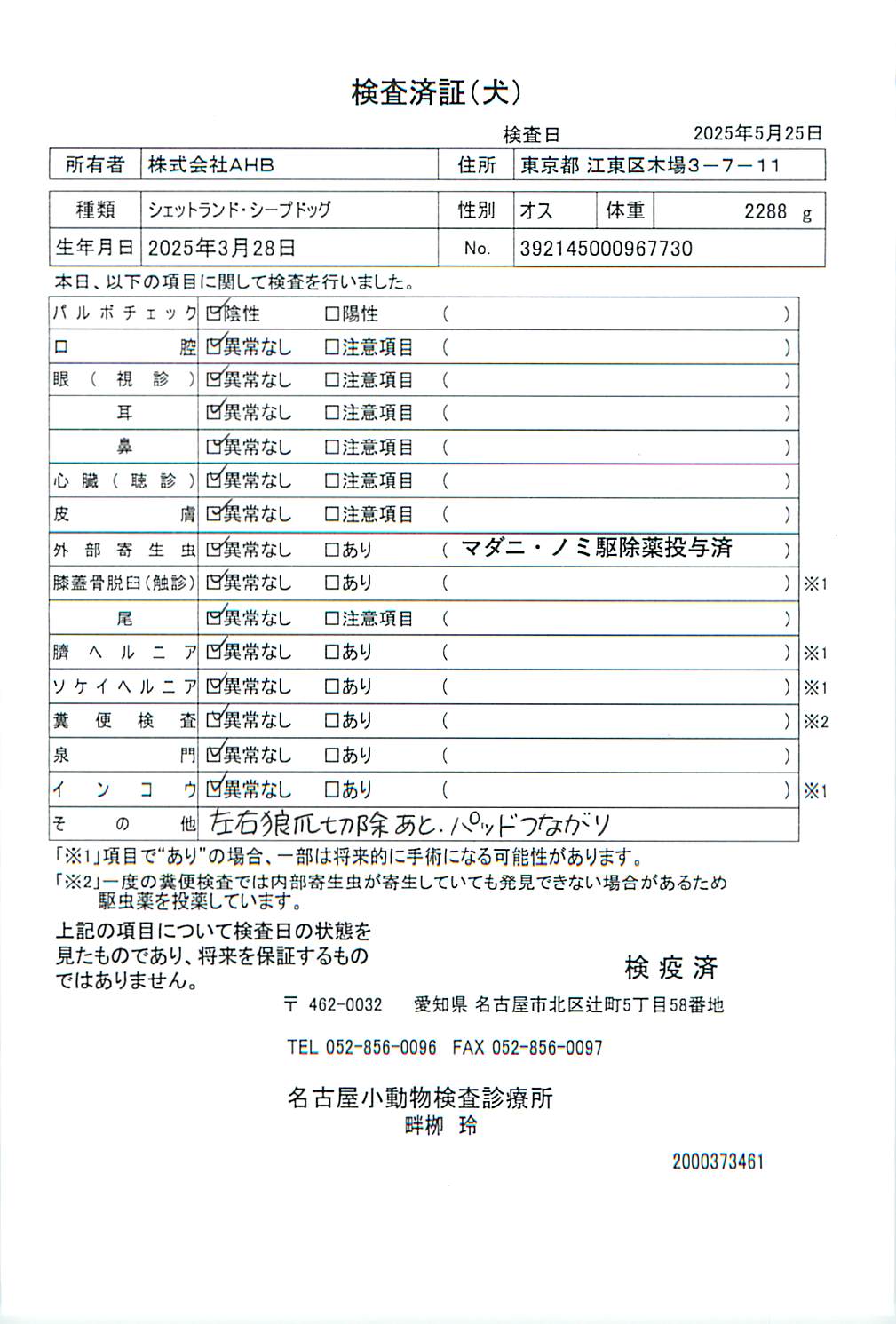 シェットランド・シープドッグ