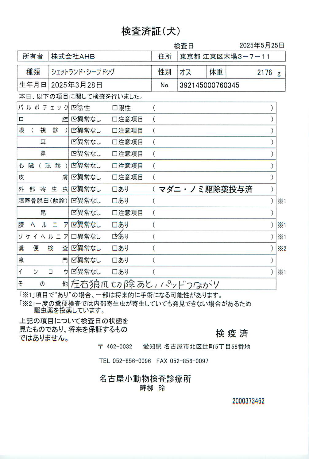 シェットランド・シープドッグ