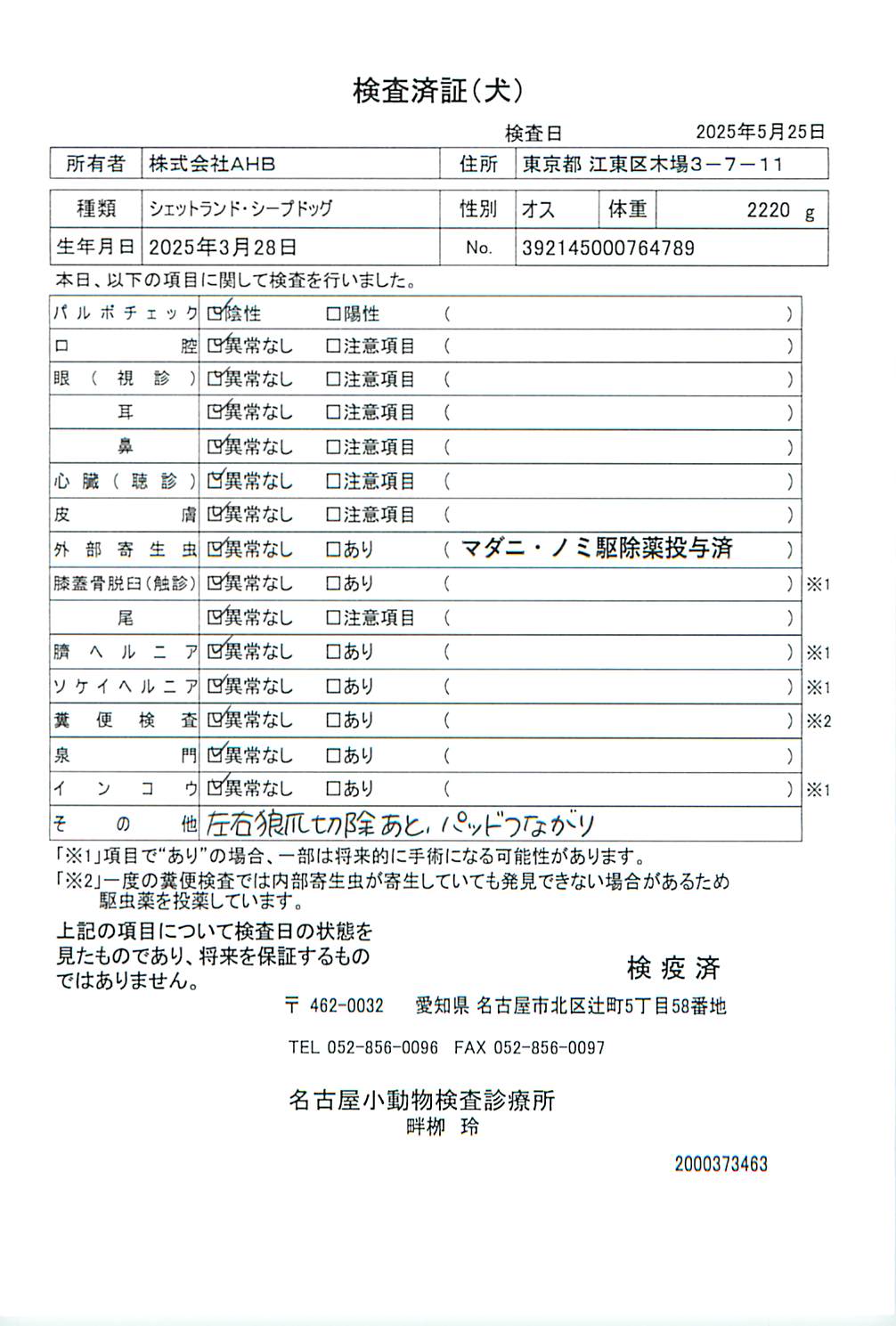 シェットランド・シープドッグ