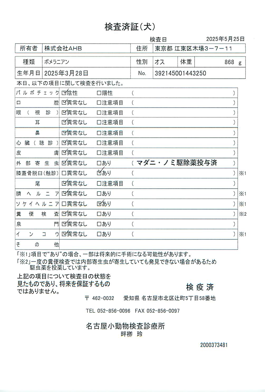 ポメラニアン