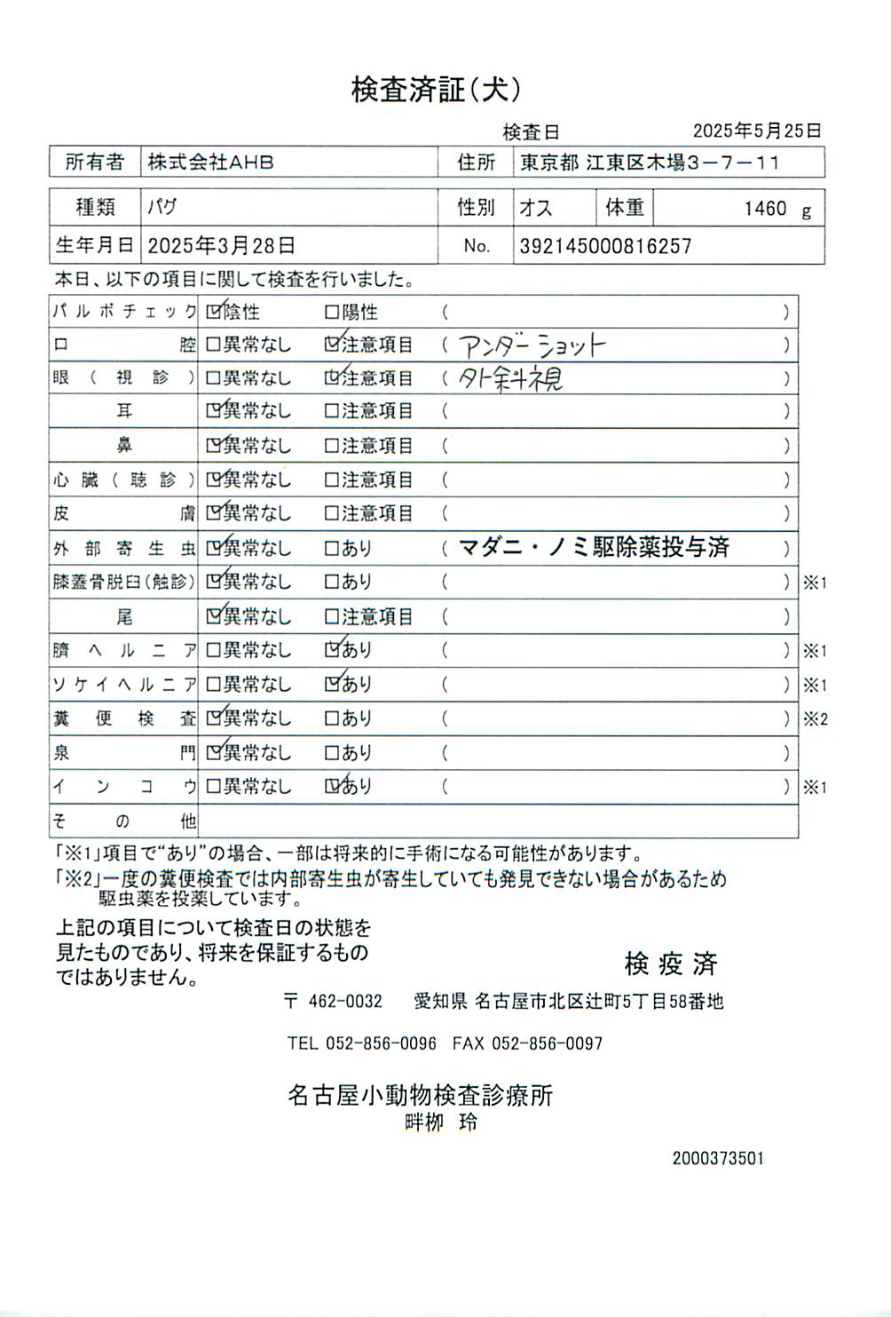 パグ