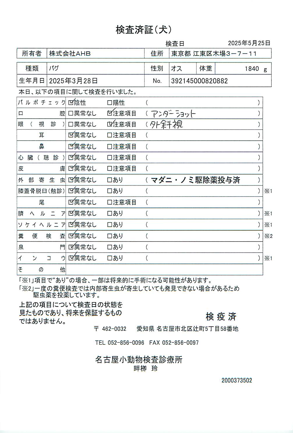 パグ