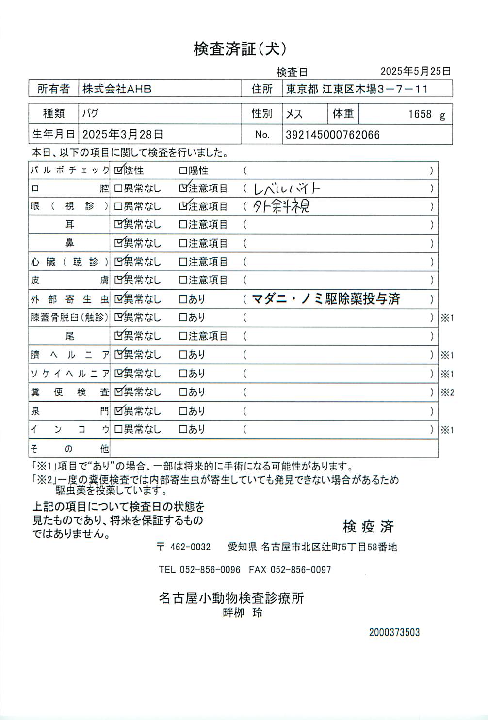 パグ