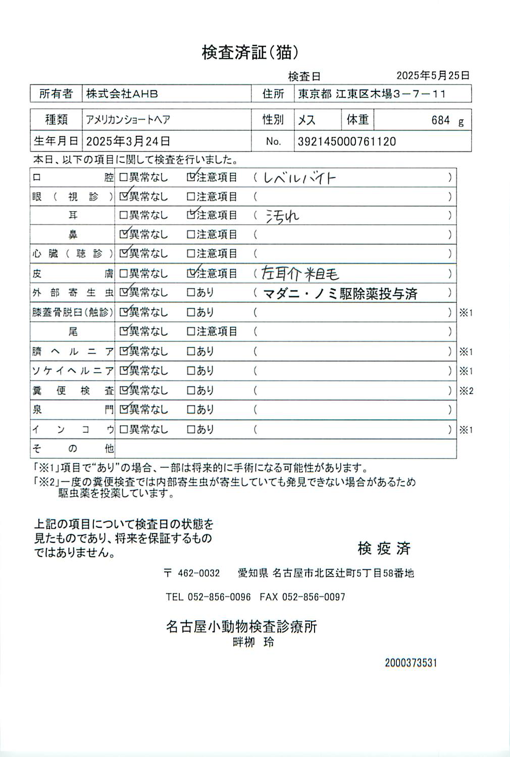 アメリカンショートヘア