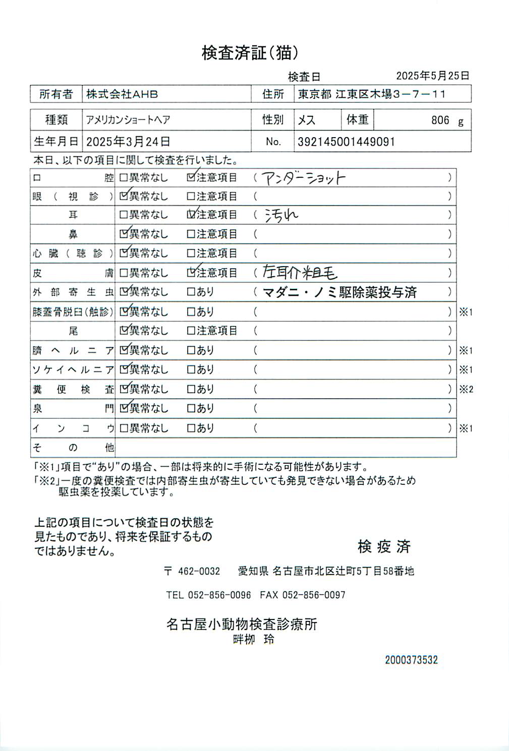 アメリカンショートヘア